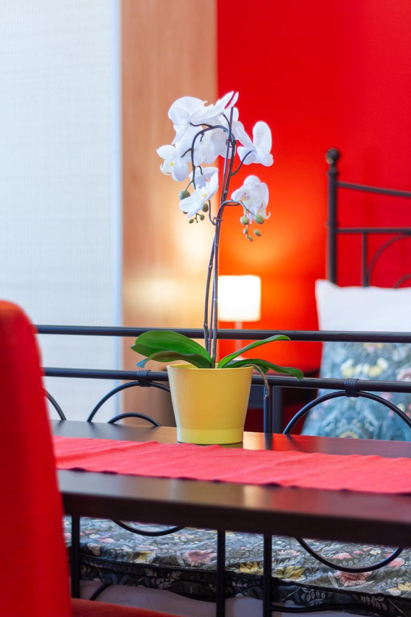 Badepest Apartment Budapešť Exteriér fotografie